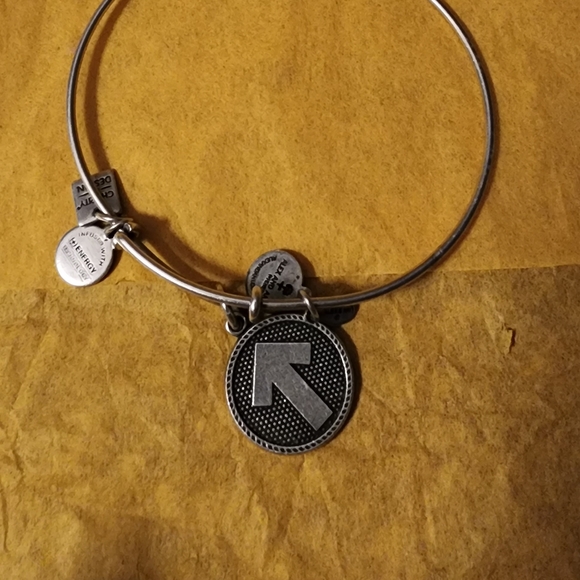 Alex and Ani Stand Up To Cancer Charm Bangle Bracelet - Picture 2 of 4